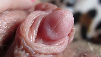A Close-Up View Of My Swollen Clit