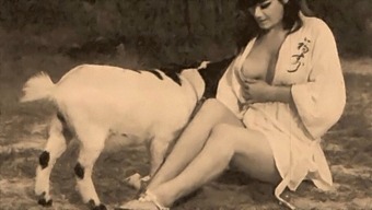 Classic Taboo: Pussy And Pooch In Retro Porn Video
